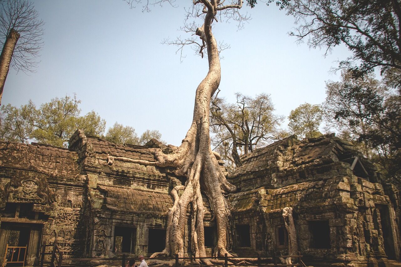 Explore nature’s reclaim of Khmer temples